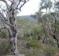 The Glen - SA Accommodation