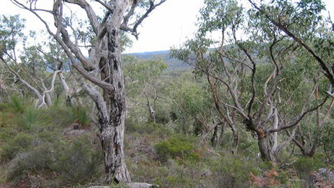 The Glen - SA Accommodation 0