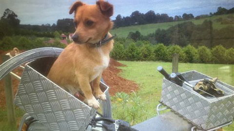 Farm Accommodation - SA Accommodation 1