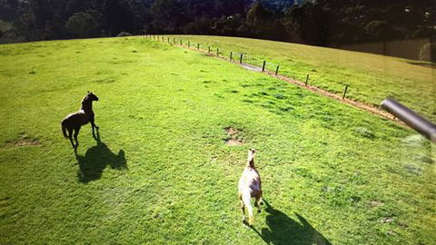 Farm Accommodation - SA Accommodation 4
