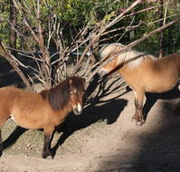 Cloud End Farmstay - SA Accommodation