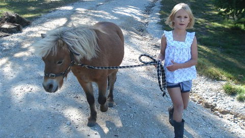 Cloud End Farmstay - SA Accommodation 2