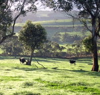Bellevue Farmstay - SA Accommodation