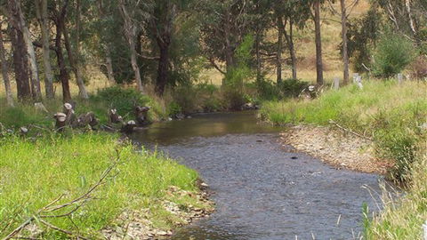 Murphy's Cabin - SA Accommodation 0