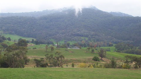 Murphy's Cabin - SA Accommodation 1