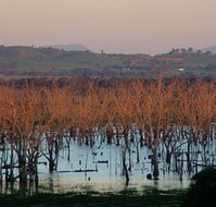 Salisbury - SA Accommodation