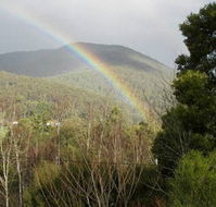 Wattletree Cottage - SA Accommodation