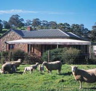Amanda Stichbury Cottage - SA Accommodation