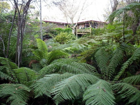 Adelaide Hills Bed & Breakfast Accommodation - SA Accommodation 3