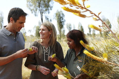 Ayers Rock Campground - SA Accommodation 2