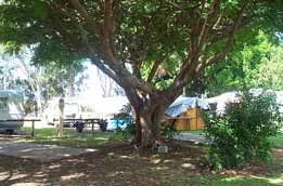Donnybrook Caravan Park - SA Accommodation 1
