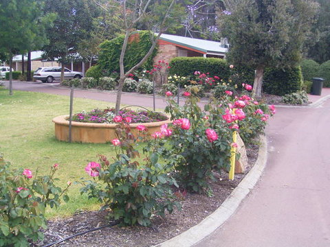 Golden Chain Margaret River Country Cottages - SA Accommodation 4