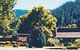 High Country Motor Inn - thumb 0