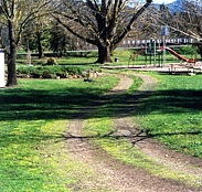 Mongans Bridge Camping Park - SA Accommodation