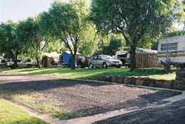 Poplar Caravan Park - SA Accommodation 3