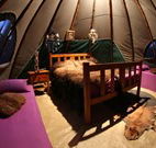 Aranyani Bison Adventure Tourist Park - SA Accommodation