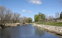 Barbour Park Rest Area - SA Accommodation 0
