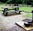 Bellbird campground - SA Accommodation