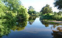 Bendemeer Tourist Park - SA Accommodation 5