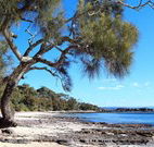Currarong Beachside Holiday Park - SA Accommodation