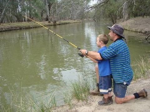 Riverview Caravan Park - SA Accommodation 4