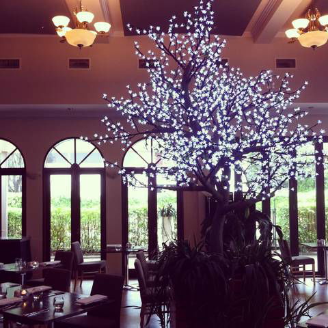 Shangri-La Gardens - SA Accommodation 1