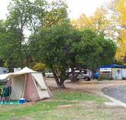 Wedderburn Pioneer Caravan Park - SA Accommodation