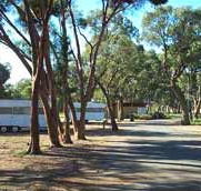 Wycheproof Caravan Park - SA Accommodation