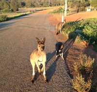 Bindoons Windmill Farm - SA Accommodation