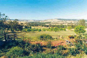 Pecan Hill Bed And Breakfast - SA Accommodation 0