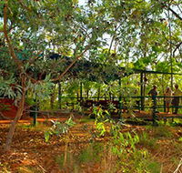 Arnhemland Barramundi Nature Lodge - SA Accommodation