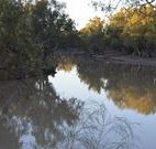 Four Mile Camping Reserve - SA Accommodation