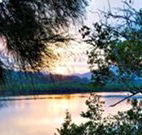 Tweed Coast Holiday Parks Hastings Point - SA Accommodation