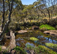Junction Pools campground - SA Accommodation