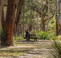 Koreelah Creek campground - SA Accommodation