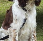 Merimbula Lake Holiday Park - SA Accommodation