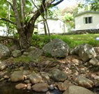 Mt Warning Rainforest Park - SA Accommodation