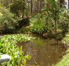Tallowood Ridge B and B - SA Accommodation