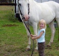 Three Waters High Country Holidays - SA Accommodation