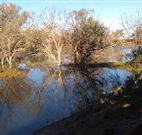 Warrawong on the Darling - SA Accommodation