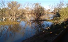 Warrawong On The Darling - SA Accommodation 0