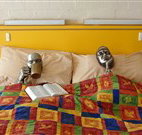 Budget Winchester Motel - Moree - SA Accommodation