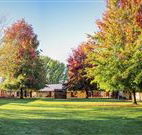 Laurel Hill Forest Lodge - Tumbarumba - SA Accommodation