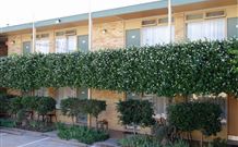 Mid City Motor Inn - Queanbeyan - SA Accommodation 4