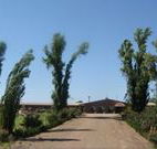 Newell Motor Inn - Narrandera - SA Accommodation