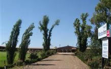 Newell Motor Inn - Narrandera - SA Accommodation 0