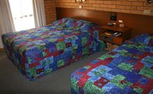 Newell Motor Inn - Narrandera - SA Accommodation 1