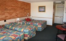 Newell Motor Inn - Narrandera - SA Accommodation 4