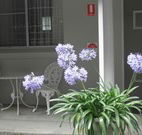 Pine Lodge Motel - Woolgoolga - SA Accommodation