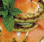 Retreat at Froog-Moore Park - Tamworth - SA Accommodation